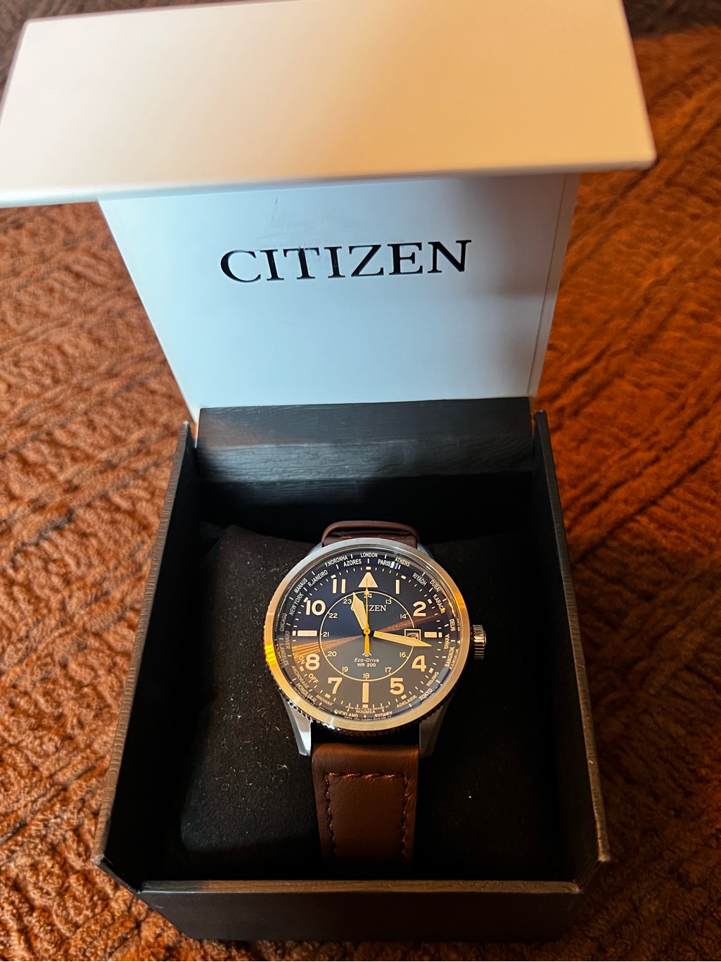 Citizen Promaster Nighthawk